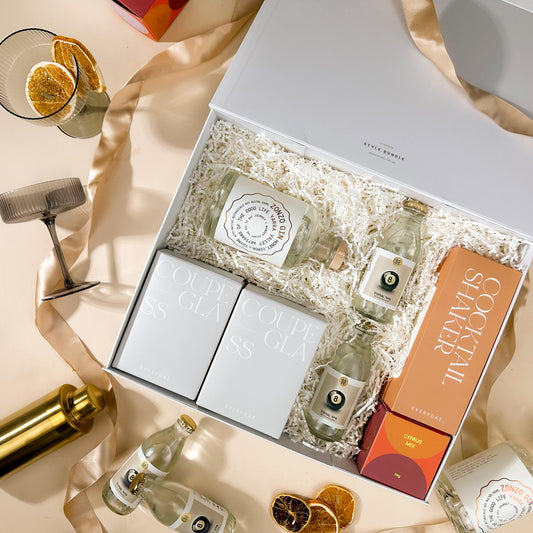 style-bundle-zonzo-gin-cocktail-corporate-settlement-gift-with-cocktail-shaker-and-zonzo-gin-with-coupe-glasses
